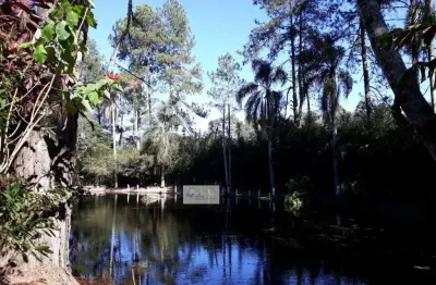 Chácara / sítio com 3 quartos à venda na Rua do Cedro, Chácara Rincão, Cotia