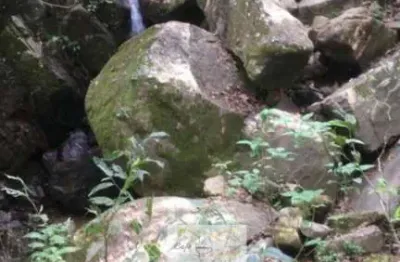 Fazenda à venda no Centro, Cambuí 