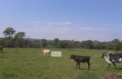 Fazenda à venda em Água Vermelha, São Carlos 