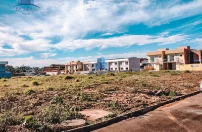 Terreno à venda, 128 m² por r$ 225.000,00 - costeira - são josé dos pinhais/pr
