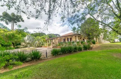 Chácara / sítio com 4 quartos à venda na rua caetano munhoz da rocha, 1, salgadinho, campo largo por r$ 4.500.000