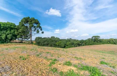 Chácara / sítio à venda na rua ignácio belinovski, colônia figueiredo, campo largo por r$ 1.050.000