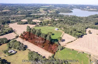 Terreno à venda na avenida cristina, jardim florestal, campo largo por r$ 650.000