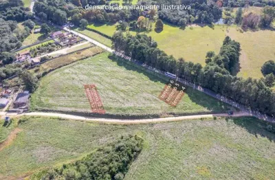 Terreno à venda na Joana Kulka Ripka, 2452, Mineiros, Balsa Nova