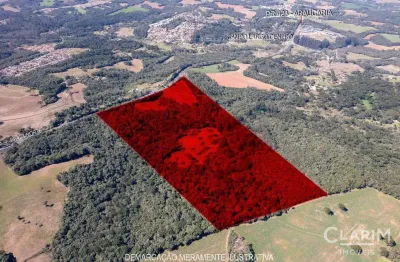 Terreno à venda na Rodovia PR-423, Jardim das Acácias, Campo Largo