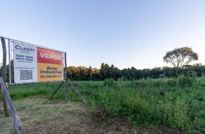 Terreno à venda na Rodovia PR-423, 1, Botiatuva, Campo Largo