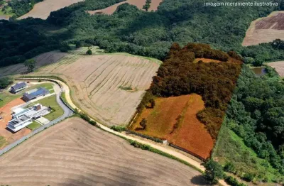 Chácara / sítio à venda na Rua Maria Luiza Tortato Andreassa, 1, Colônia Figueiredo, Campo Largo