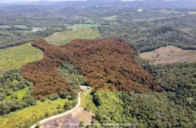 Chácara / sítio à venda na Estrada Dom Rodrigo, Itaqui de Cima, Campo Largo