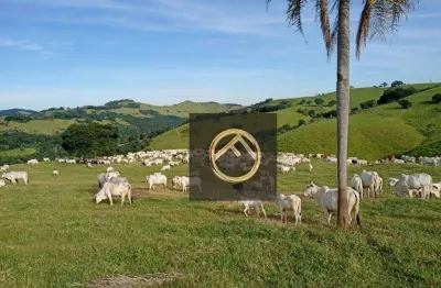 Fazenda à venda na Rua ÁRea Rural, Guampará, Marquinho