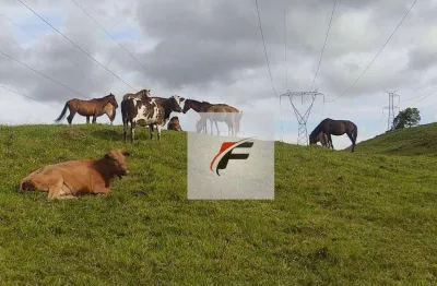Chácara com 3 dormitórios à venda, 363000 m² por r$ 1.300.000,00 - zona rural - tijucas do sul/pr