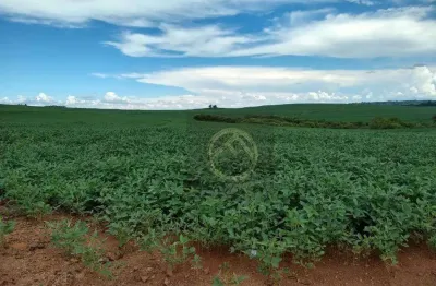 Fazenda à venda, 2250600 m² por r$ 11.000.000,00 - centro - guarapuava/pr