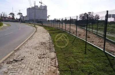 Terreno à venda, 11063 m² por R$ 26.368.000,00 - Cruzeiro - São José dos Pinhais/PR