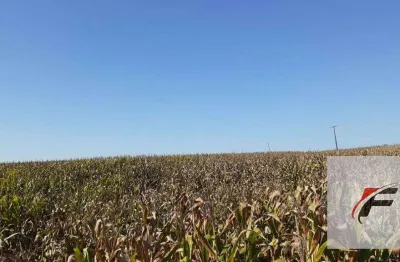 Fazenda à venda, 1379400 m² por r$ 11.000.000 - centro - boa ventura de são roque/pr