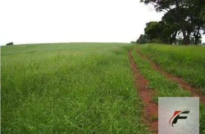Fazenda à venda, 47600000 m² por r$ 269.000.000,00 - jardim imperial - são jorge do patrocinio/pr
