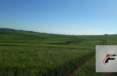 Fazenda à venda, 2988700 m² por r$ 37.000.000,00 - rural - faxinal/pr