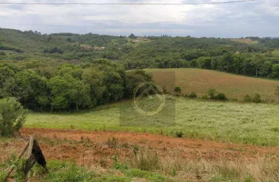 Chácara com 4 dormitórios à venda, 38000 m² por r$ 1.500.000,00 - roça velha - são josé dos pinhais/pr