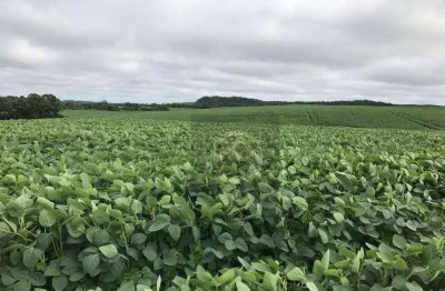 Fazenda à venda na ÁRea Rural, 1, Zona Rural, Candói