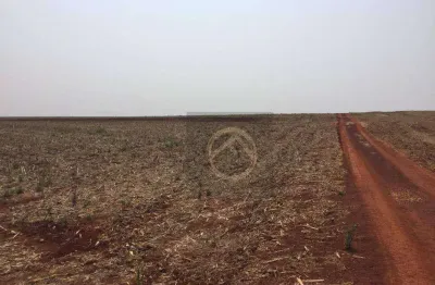 Fazenda à venda, 9825200 m² por r$ 49.000.000,00 - centro - tamarana/pr