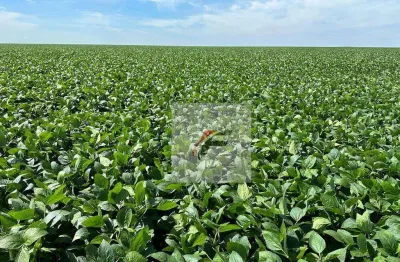 Fazenda com 3 dormitórios à venda, 1355200 m² por r$ 15.000.000,00 - centro - lapa/pr