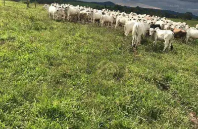 Fazenda à venda, 2831400 m² por r$ 14.500.000,00 - centro - ortigueira/pr