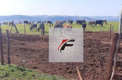 Fazenda à venda, 1149500 m² por r$ 7.500.000,00 - bairro rural - manoel ribas/pr
