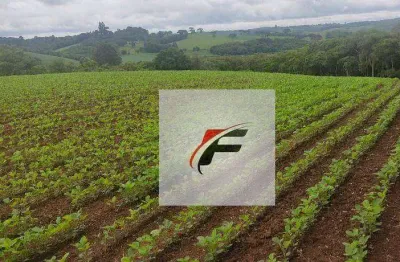 Chácara com 1 dormitório à venda, 137214 m² por r$ 1.300.000,00 - colônia balbino cunha - campo largo/pr