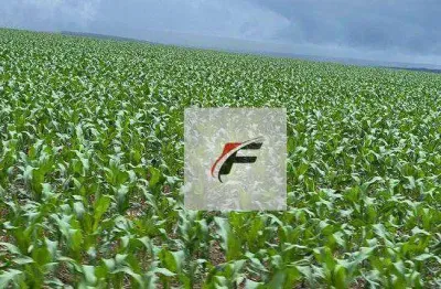 Fazenda à venda, 3218600 m² por r$ 24.800.000,00 - zona rural - guarapuava/pr
