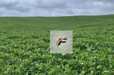 Área à venda, 11 alqueires por r$ 4.000.000 - centro - roncador/pr
