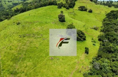 Sítio com 3 dormitórios à venda, 411400 m² por r$ 2.040.000,00 - zona rural - palmital/pr