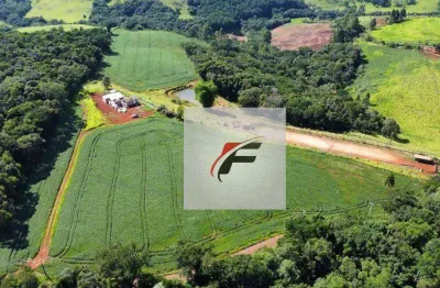 Chácara sítio com 4 dormitórios à venda, 145200 m² por r$ 2.000.000 - zona rural - palmital/pr