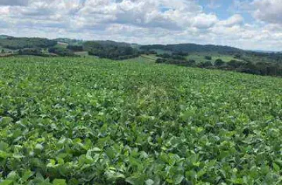 Terreno chácara à venda, 193600 m² por r$ 1.300.000 - água amarela - antônio olinto/pr
