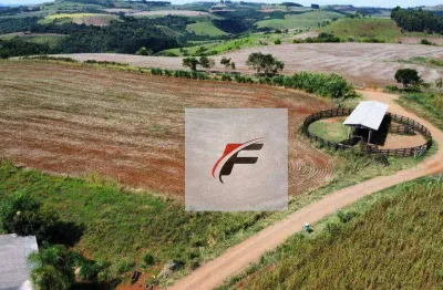 Fazenda à venda, 813120 m² por r$ 5.000.000,00 - guampará - marquinho/pr