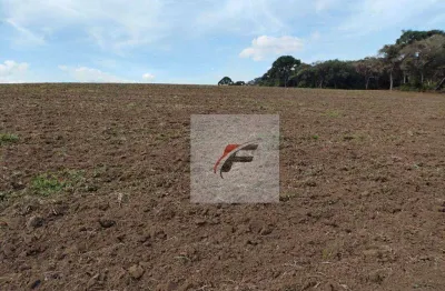 Fazenda à venda, 695266 m² por r$ 2.800.000,00 - zona rural - quitandinha/pr