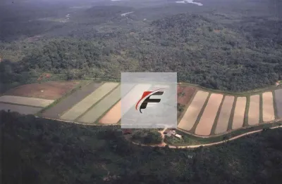 Chácara permuta à venda, 347875 m² por r$ 1.200.000 - centro - guaraqueçaba/pr