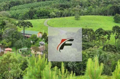 Chácara com 3 dormitórios à venda, 305000 m² por r$ 3.700.000,00 - zona rural - tijucas do sul/pr