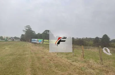 Terreno à venda, 37000 m² por r$ 17.760.000,00 - pinheirinho - curitiba/pr