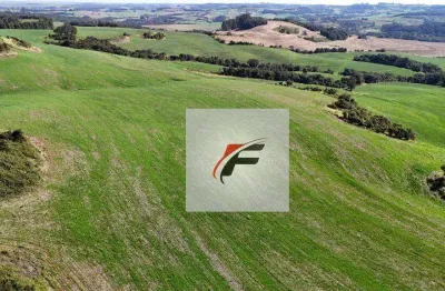Fazenda à venda, 1476200 m² por r$ 15.738.000 - centro - roncador/pr
