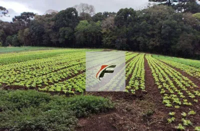 Terreno à venda, 4987 m² por r$ 1.300.000,00 - umbará - curitiba/pr