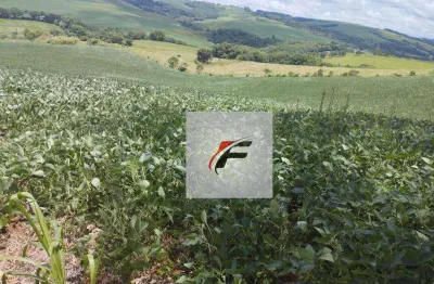 Fazenda à venda, 774400 m² por r$ 3.946.000,00 - centro - boa ventura de são roque/pr