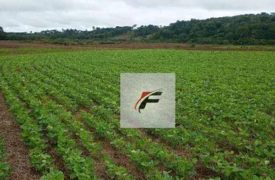 Fazenda à venda, 726000 m² por r$ 3.727.000,00 - jardim vitória - turvo/pr