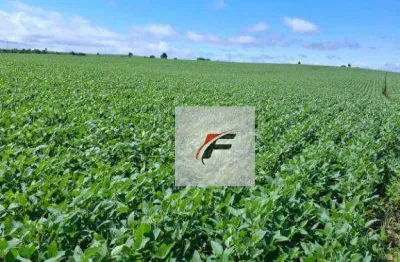 Fazenda à venda, 4694800 m² por R$ 80.000.000,00 - Zona Rural - Ponta Grossa/PR