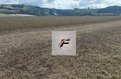 Fazenda à venda, 3775200 m² por r$ 48.929.400,00 - centro - pitanga/pr