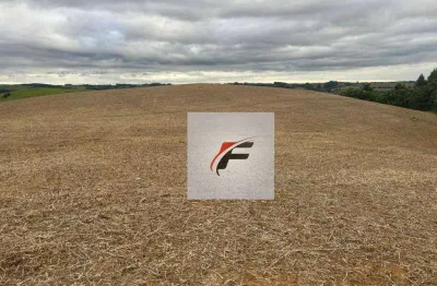 Chácara à venda, 168432 m² por r$ 1.100.000,00 - zona rural - quitandinha/pr