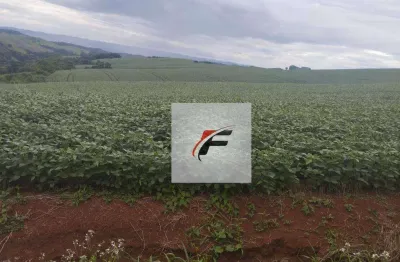 Fazenda com 3 dormitórios à venda, 871200 m² por r$ 11.263.500,00 - centro - guarapuava/pr