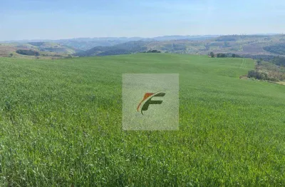 Fazenda à venda, 3678400 m² por r$ 39.600.000 - zona rural - palmital/pr