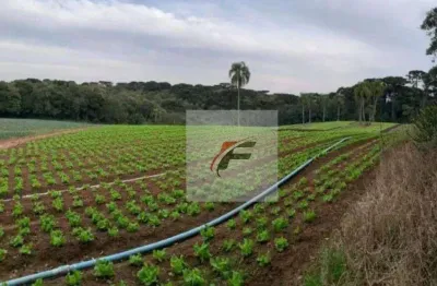 Terreno à venda, 21000 m² por r$ 4.490.000 - umbará - curitiba/pr