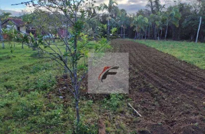Fazenda a venda permuta 47 alqueires r$ 950.000 - zona rural - antonina/pr