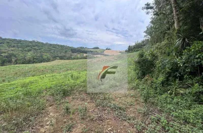 Chácara com 1 dormitório à venda, 108900 m² por r$ 480.000,00 - centro - lapa/pr