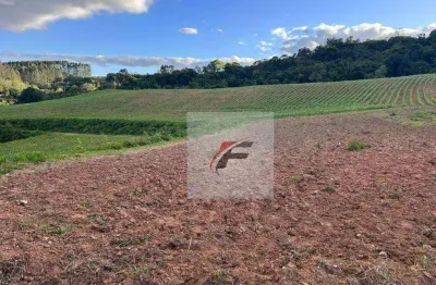 Chácara com 2 dormitórios à venda, 290400 m² por r$ 1.200.000,00 - centro - contenda/pr