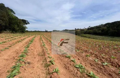 Chácara com 3 dormitórios à venda, 1113200000 m² por r$ 600.000 - centro - quitandinha/pr